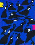 Tapiro