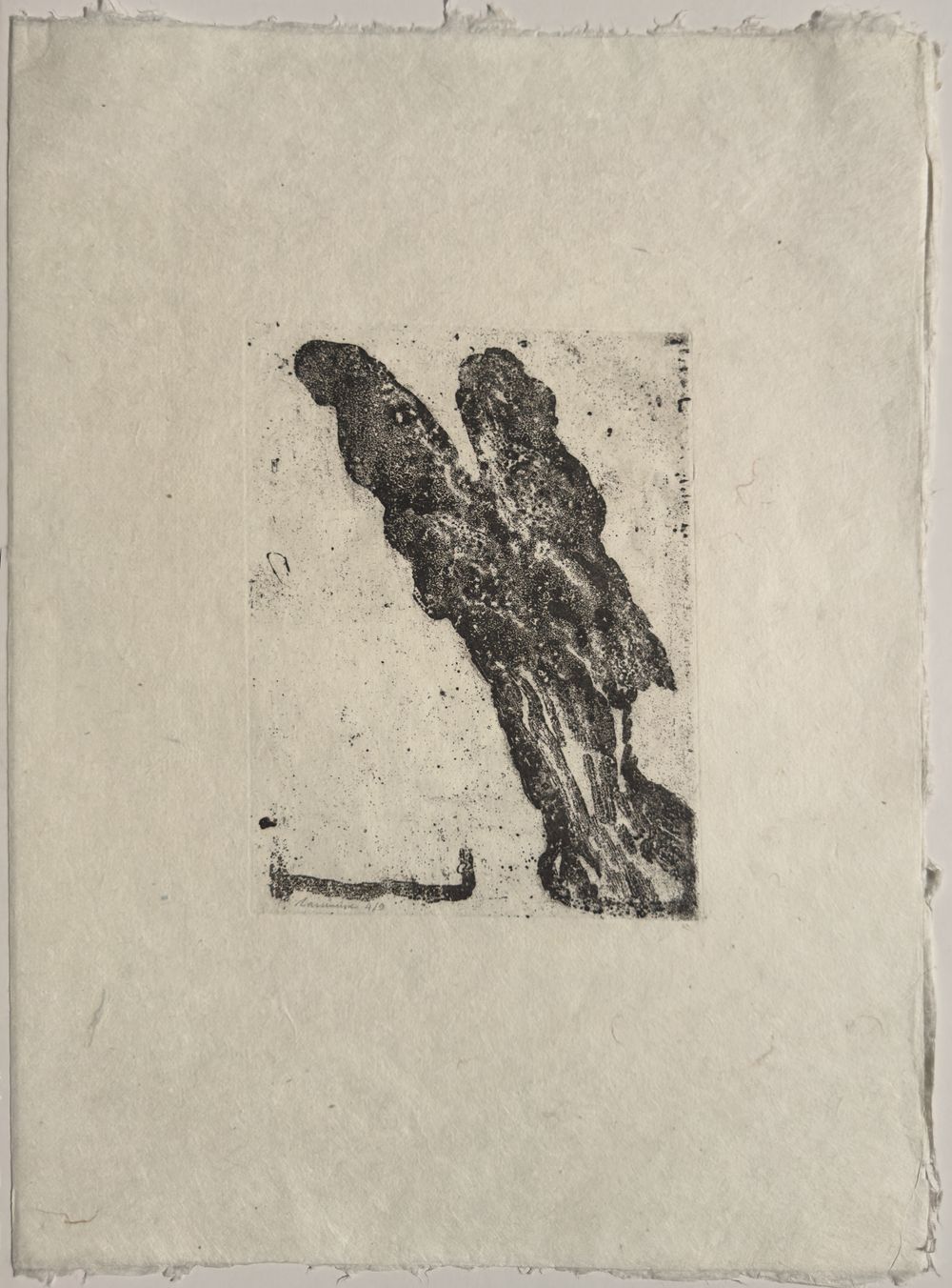 Martine RASSINEUX