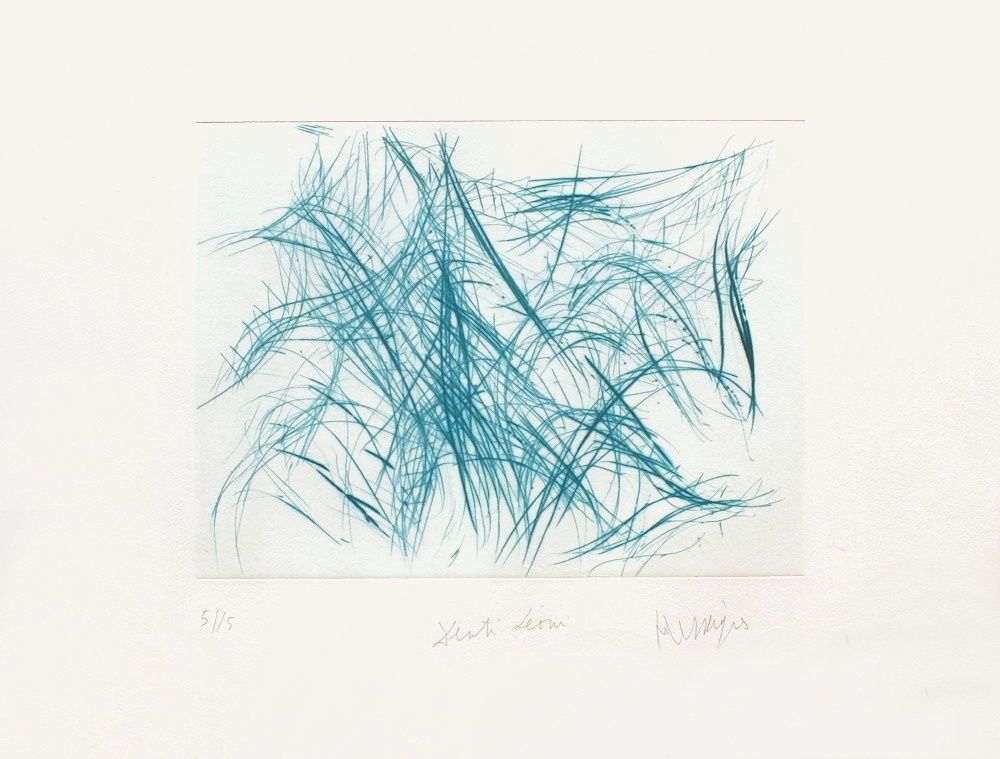 TR9202 - Denti leoni I