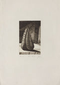 Conchylium
