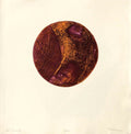 Sol lunaire