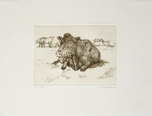 Vaches au pré II