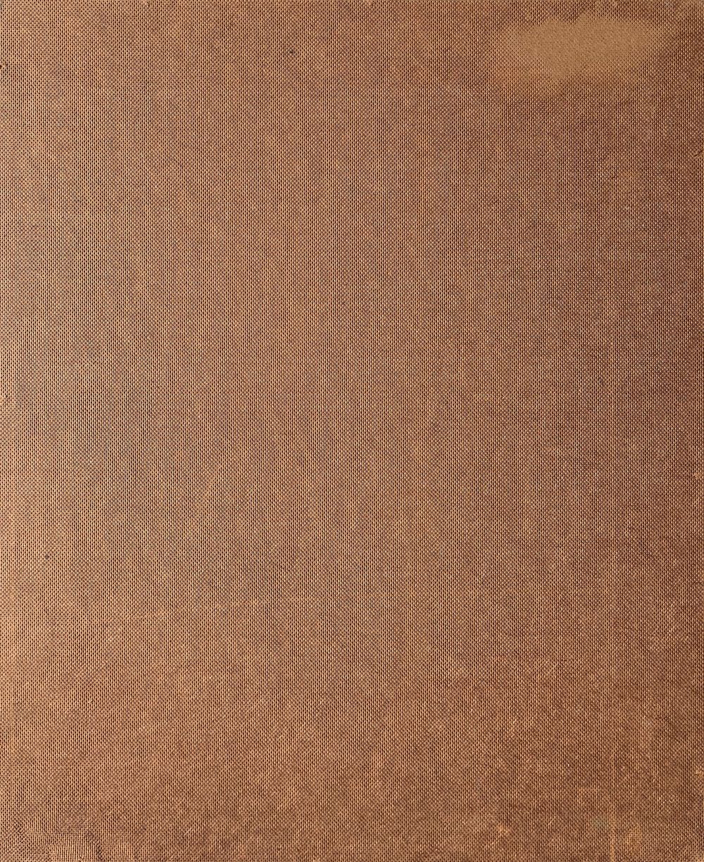 Toile d'araignée tourment — vue 2