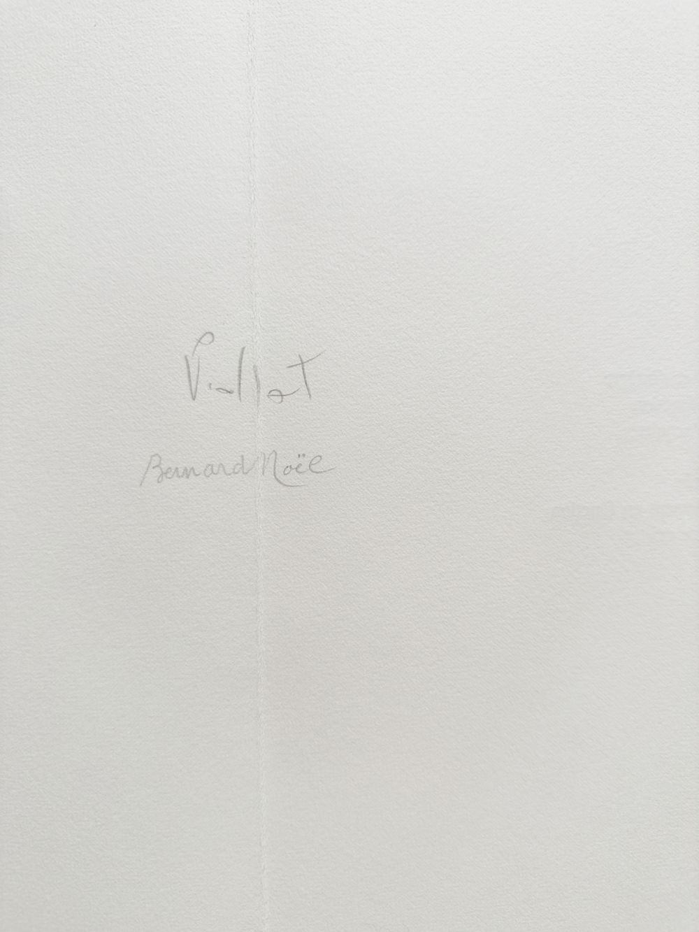 Etats de la langue - 6 peintures - texte de Bernard Noël — vue 10