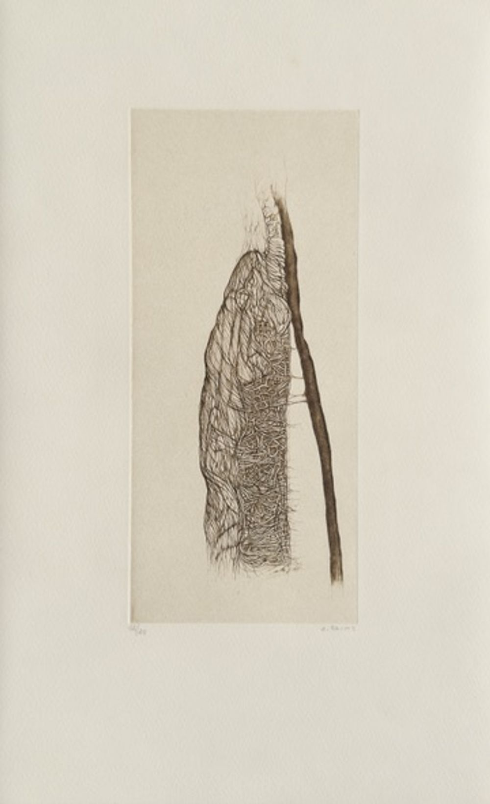 Histoire naturelle IV (portfolio de 5 gravures)