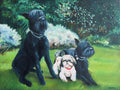 Portrait de chiens