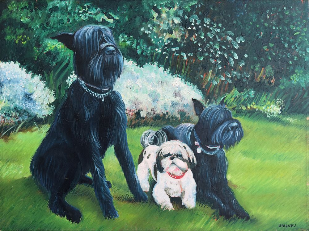 Portrait de chiens