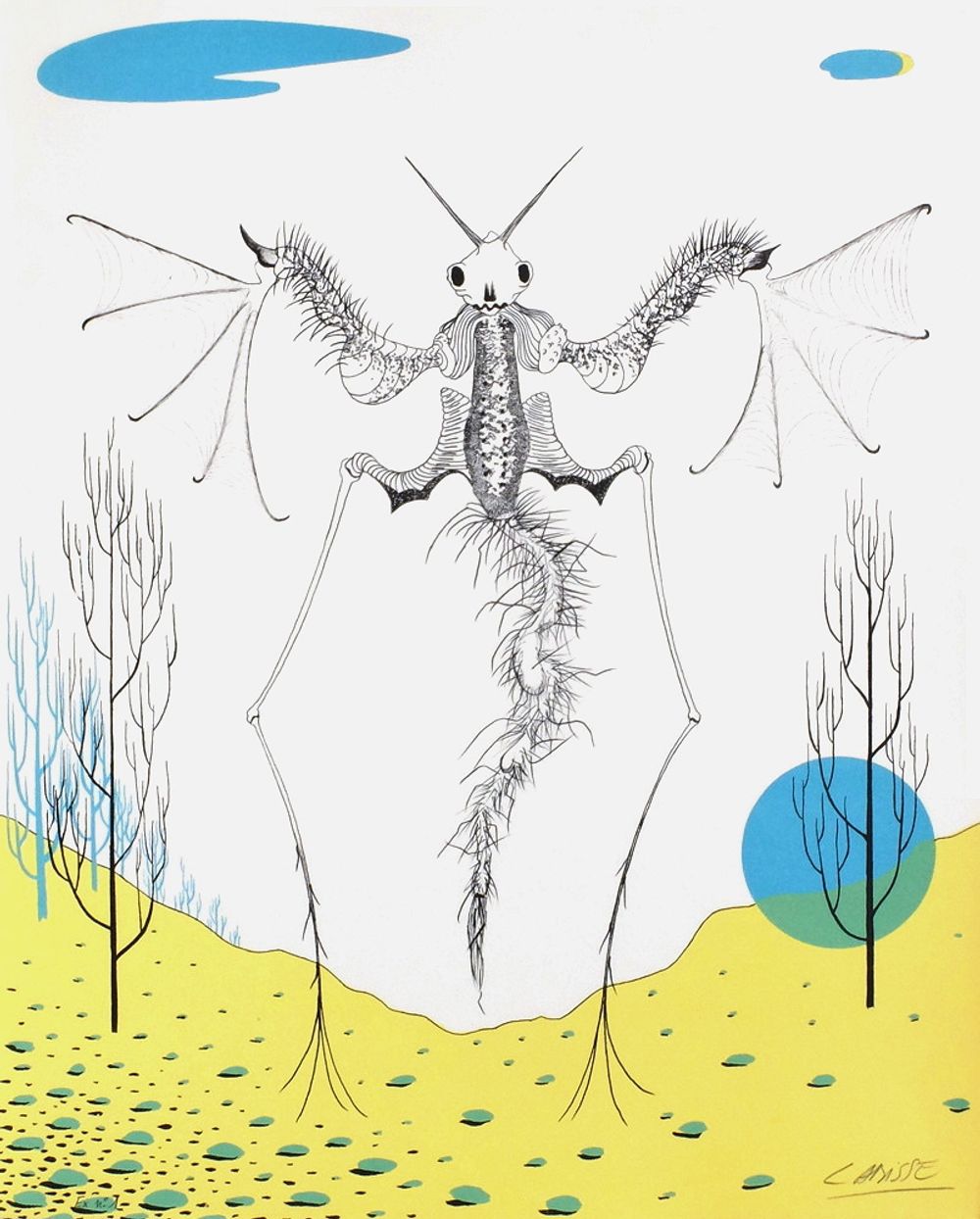 Histoire naturelle : l'Angelot