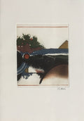 Voeux 1995