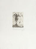 L'éveil