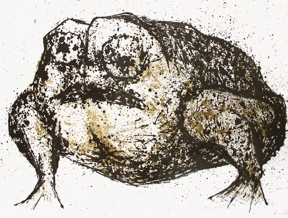 La grenouille