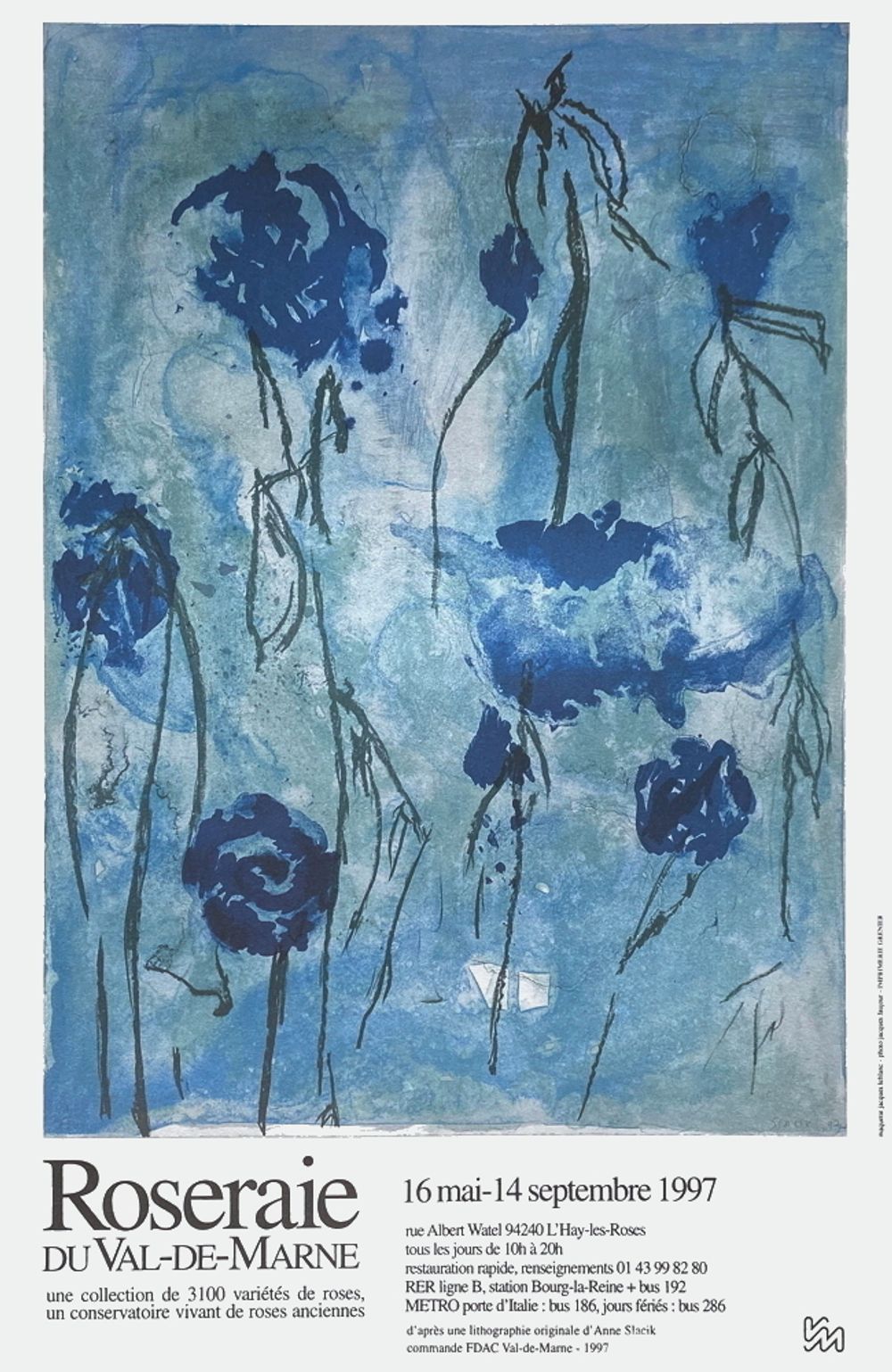 Anne SLACIK