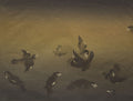 Les oiseaux