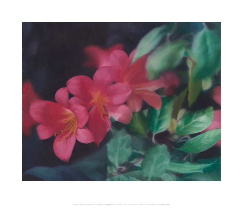 Blumen - 1977