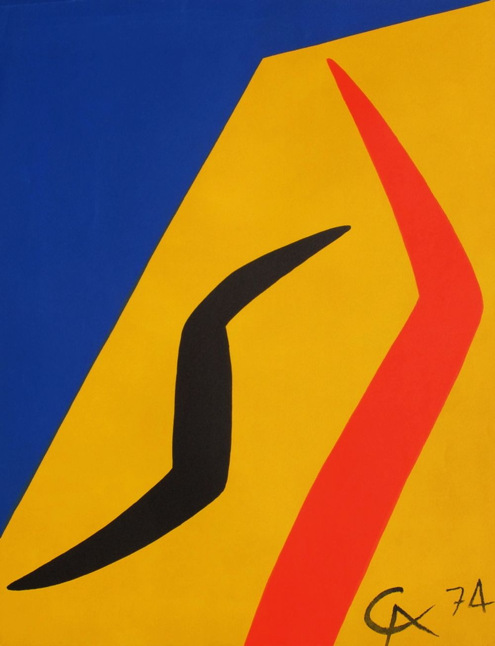 Flying colors - Birds