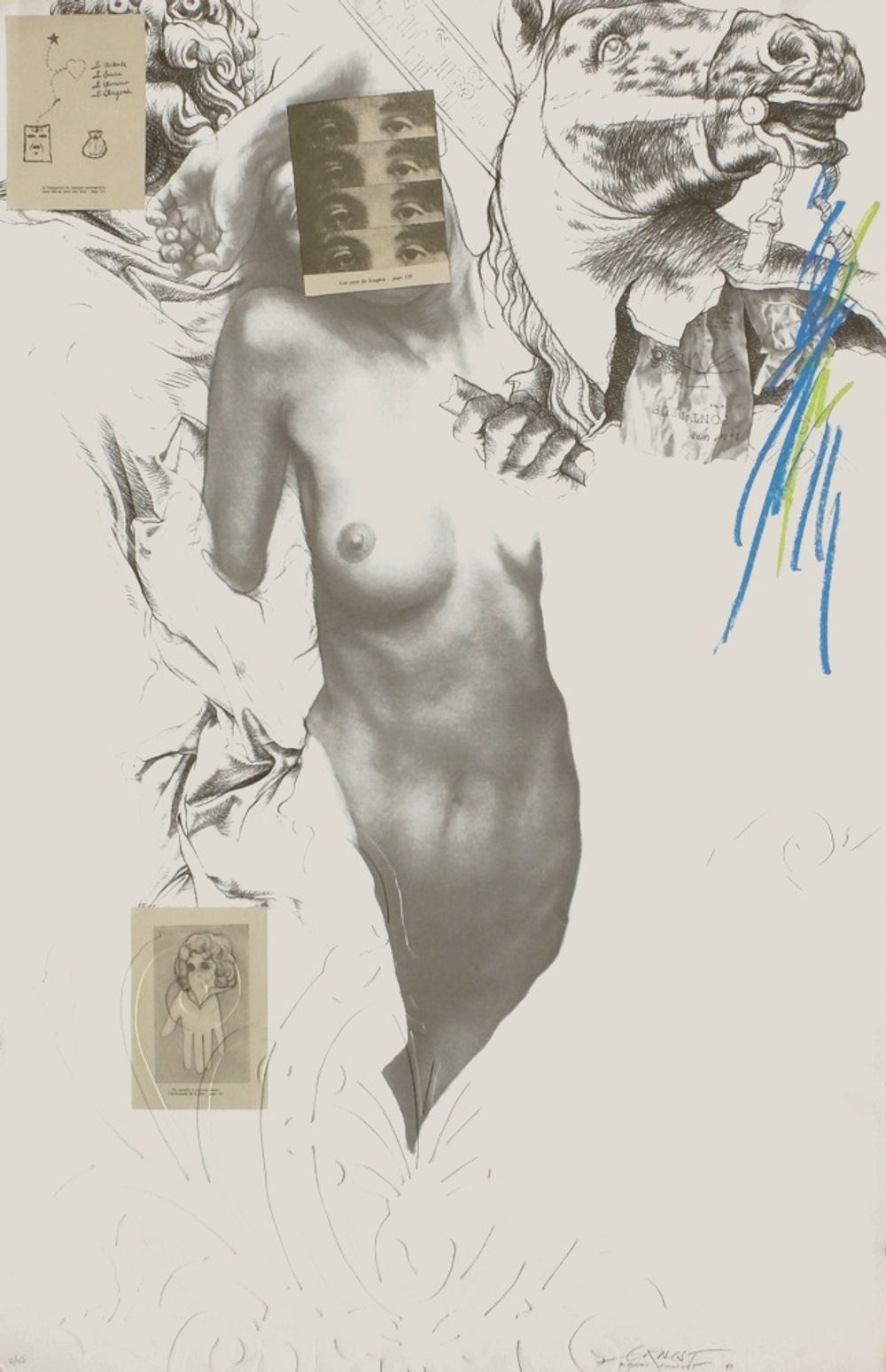Les yeux de Fougère