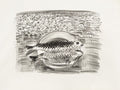 La mer - Les poissons