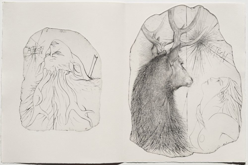 Métamorphoses - 20 gravures in texte + suite — vue 5