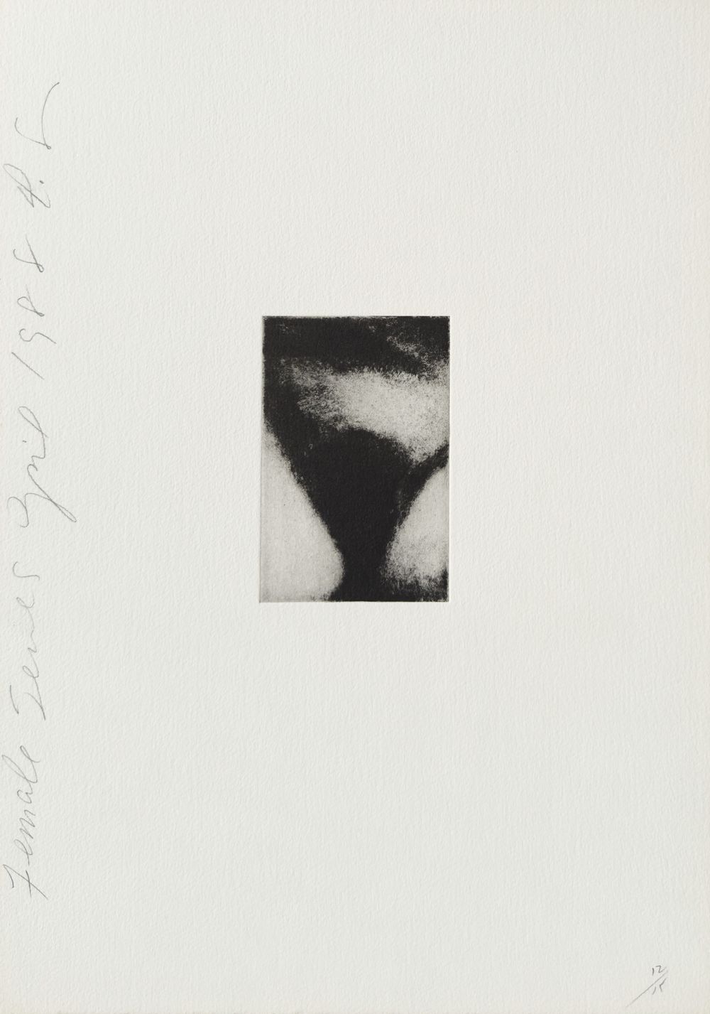 Females series I