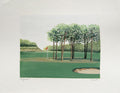 Le golf V