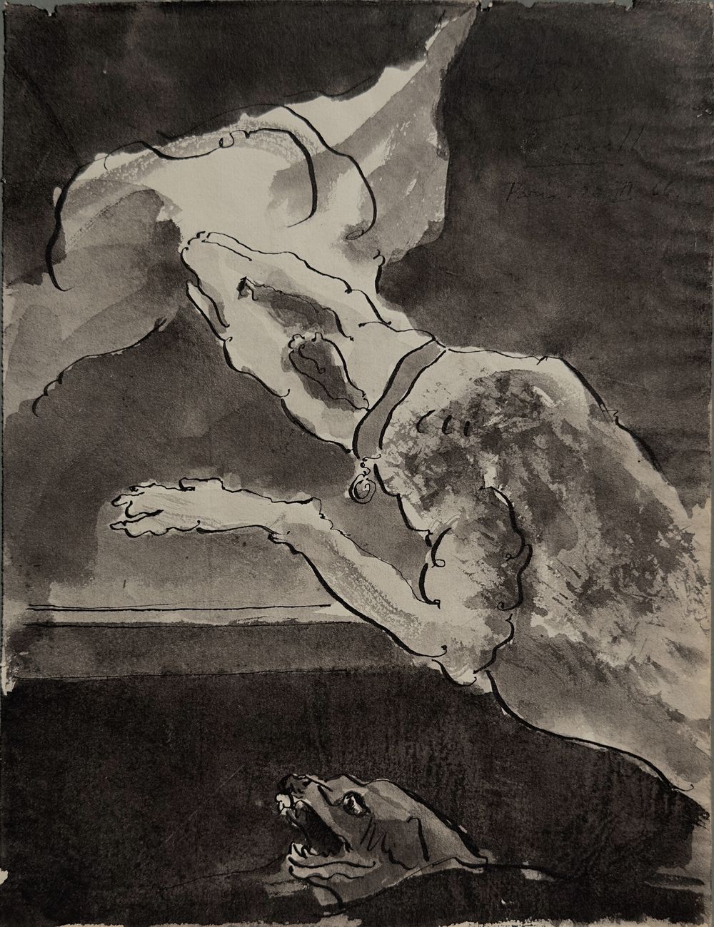 Perros devorando carne